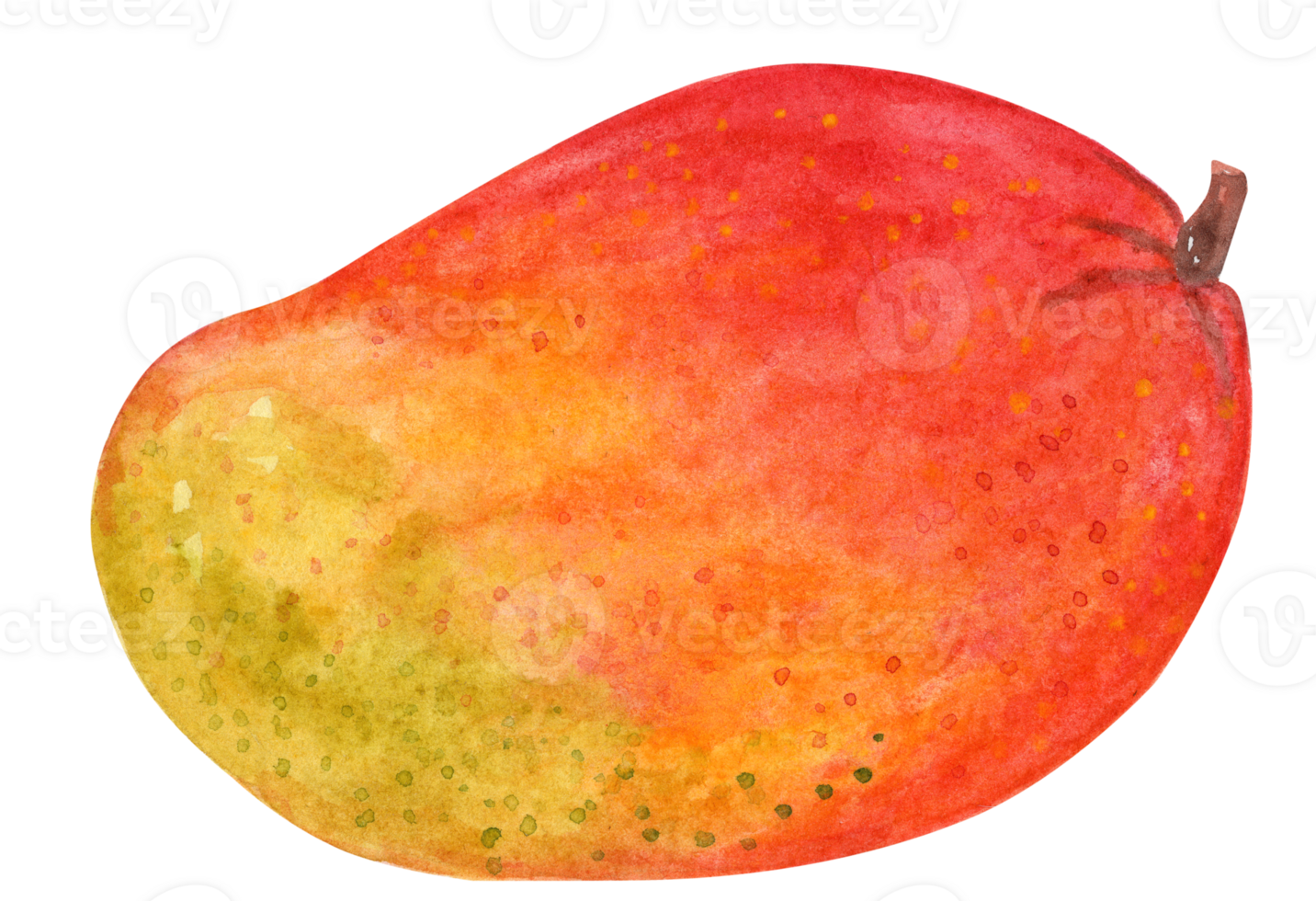 Watercolor mango fruit isolated png