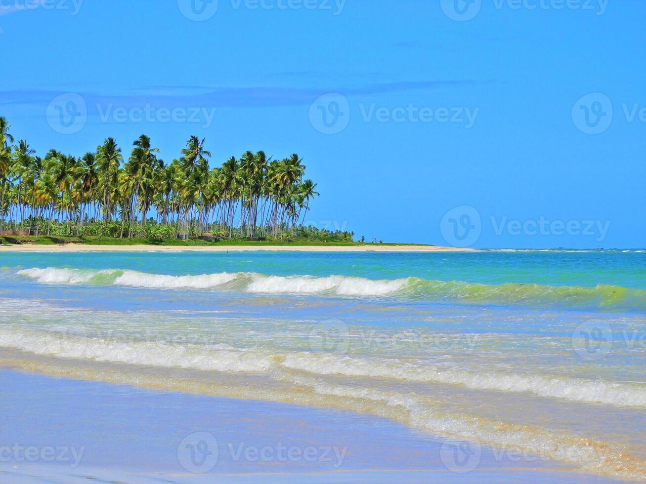 Scenic Summer Beach at Sao Miguel dos Milagres in Alagoas Brazil. Brazilian Blue. photo