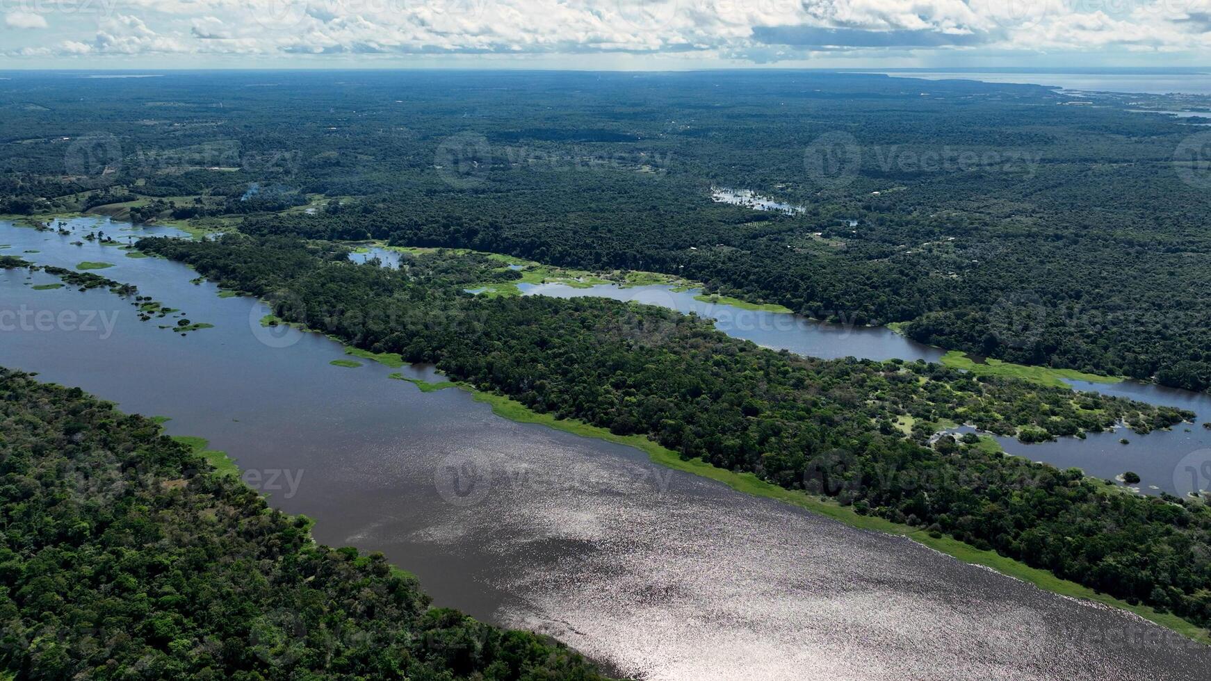 Scenic Amazon Rainforest in Manaus Amazonas Brazil. photo