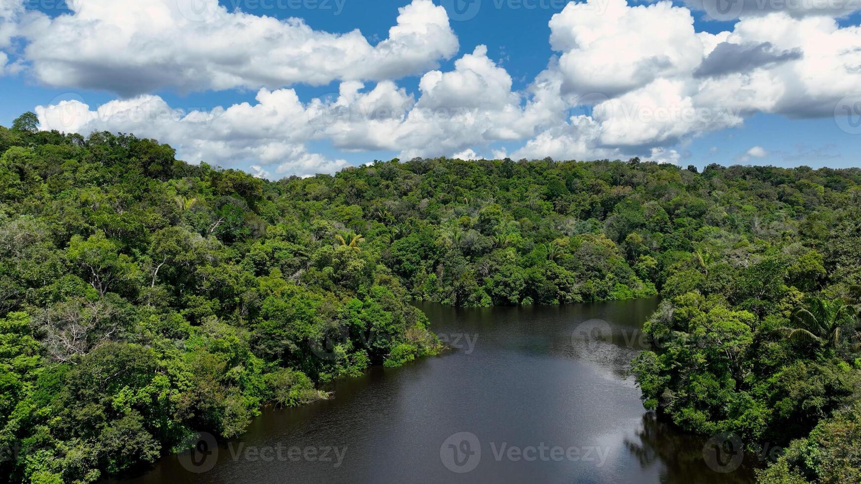 Above Amazonian River in Manaus Amazonas in Brazil.. Trees Affluent. photo