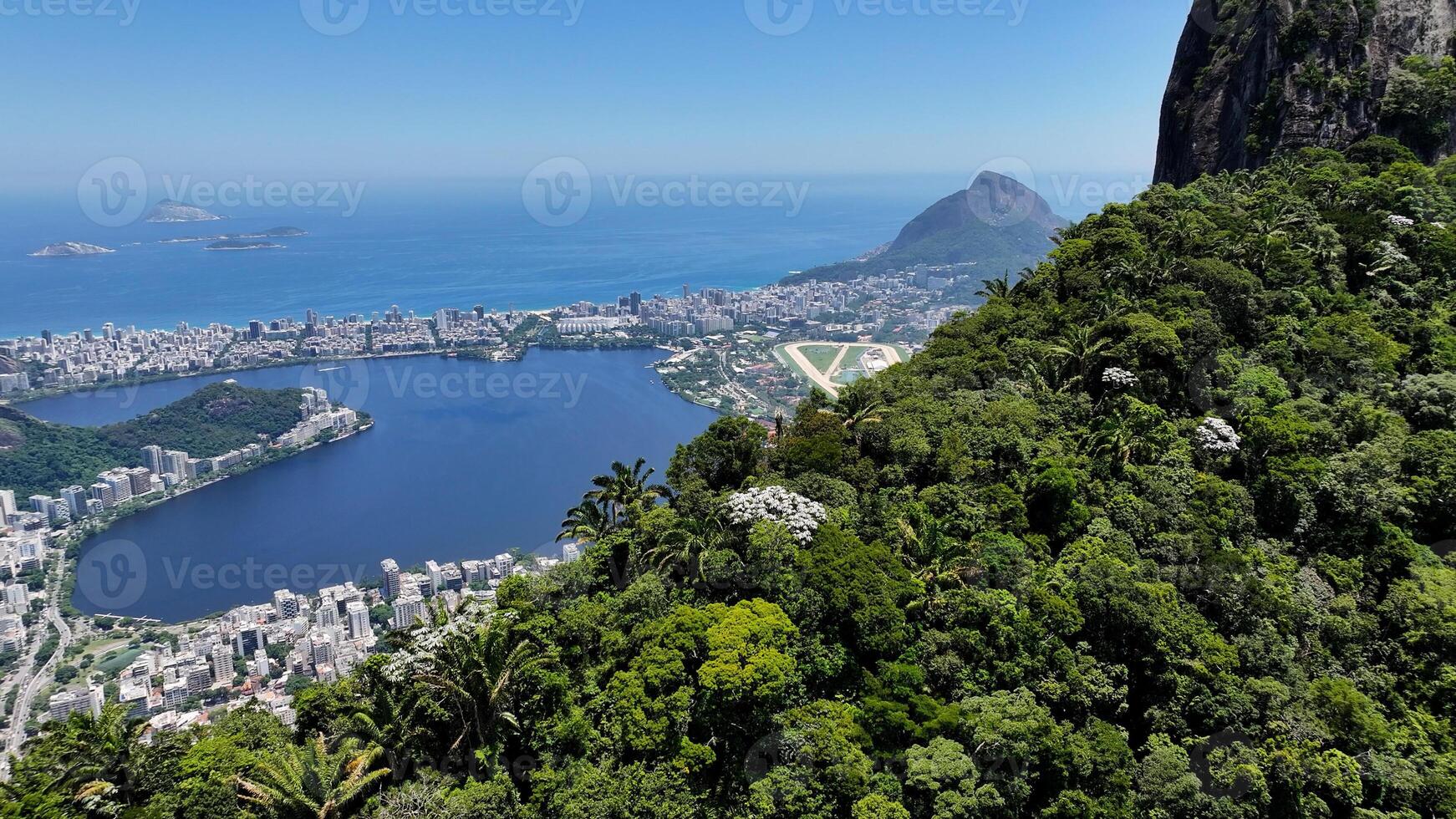 Outside atlantic forest in Rio de Janeiro Rio de Janeiro in Brazil.. Tijuca View. photo
