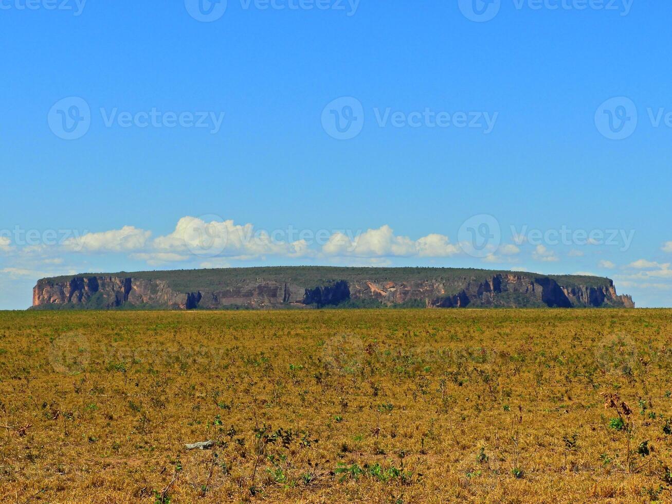 Landmark Scenic Palm Trees Lake in Nobres Mato Grosso Brazil. photo