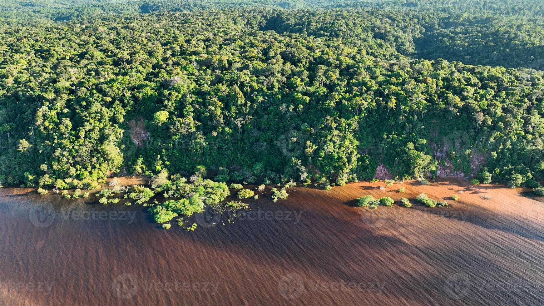 Awe Amazonian Forest in Manaus Amazonas Brazil.. Jungle Preservation. photo