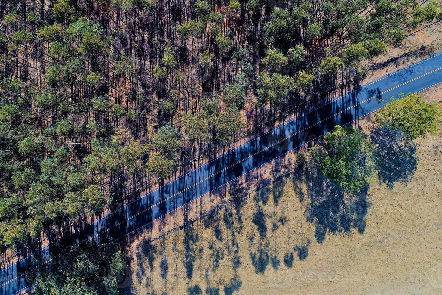 Above view of Scenic Forest in Betim Minas Gerais Brazil. photo