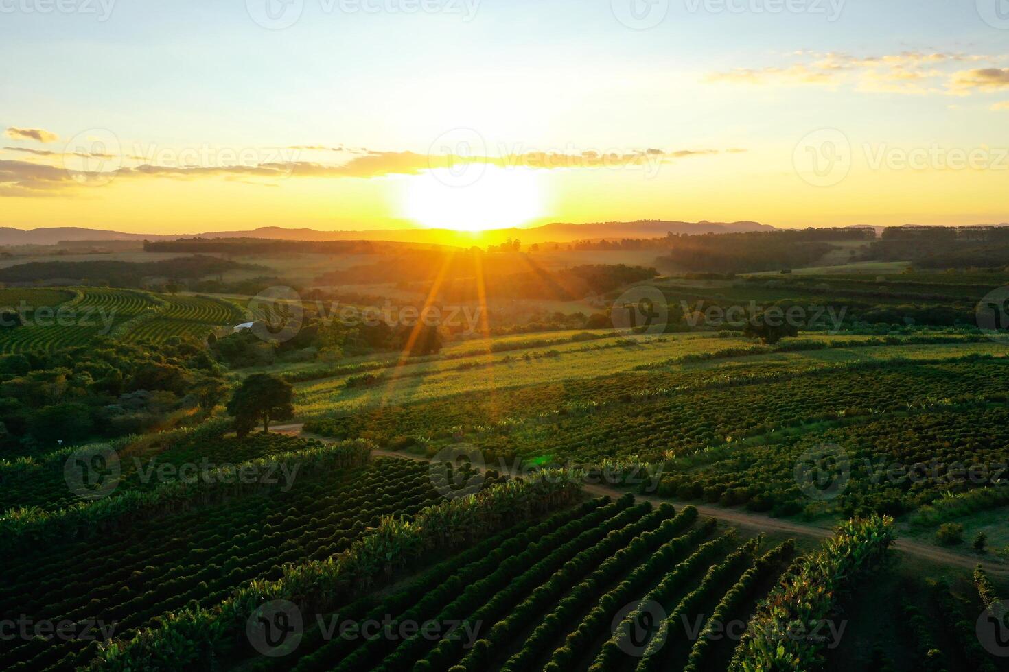 Amazing Rural Life in Presidente Prudente Sao Paulo Brazil. photo