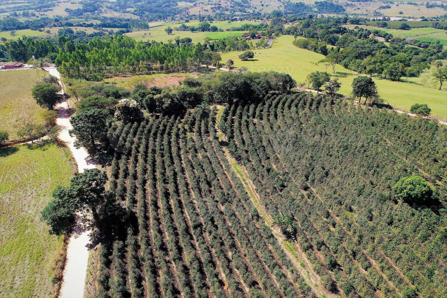 Scenic Countryside Life in Pocos de Caldas Minas Gerais Brazil. photo