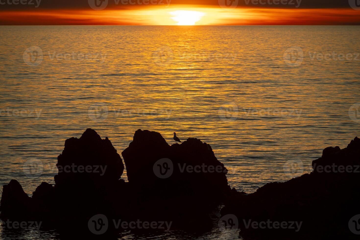 Sunset over the sea with rocks and a seagull in the backlight photo