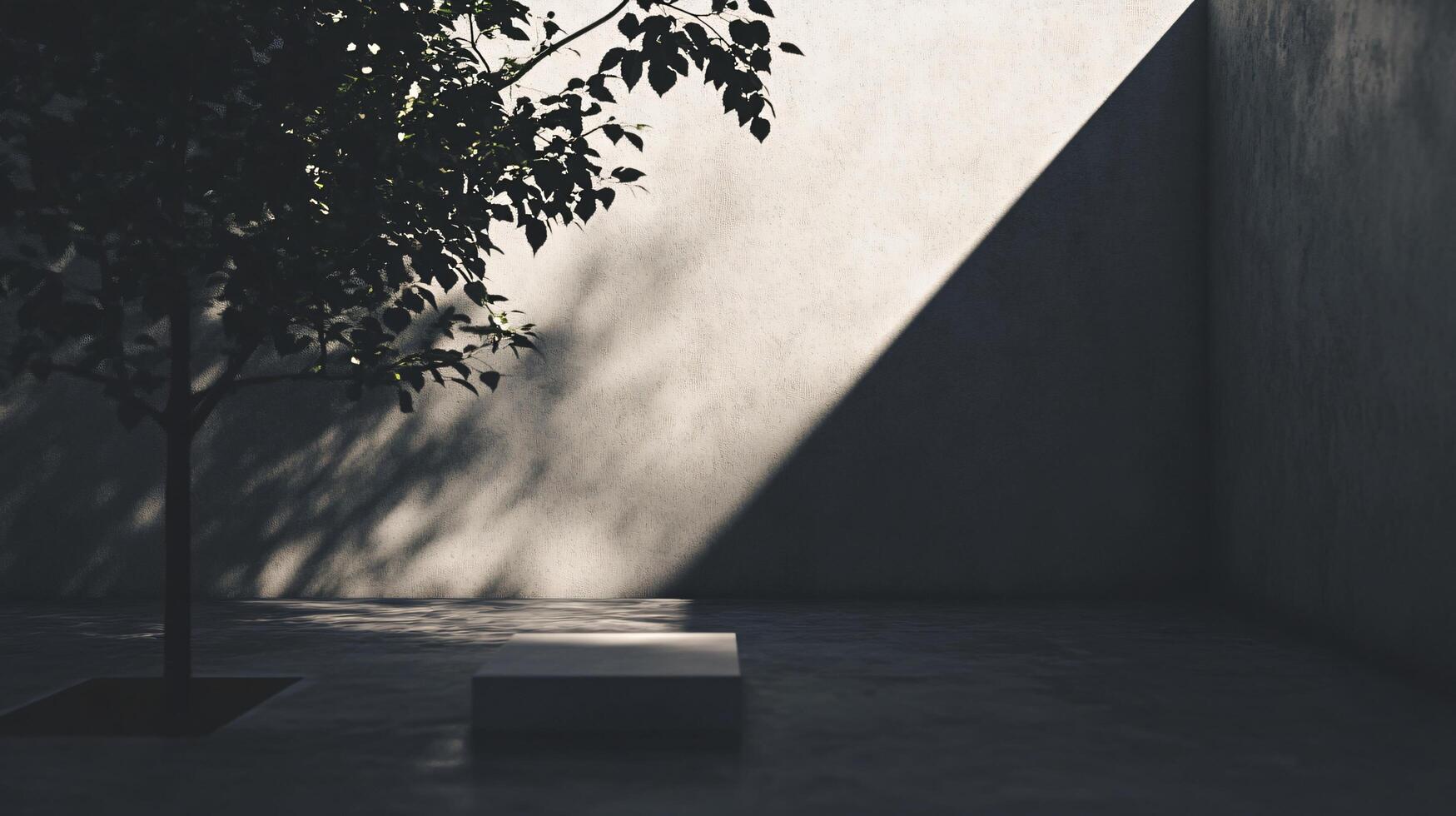Sunlight illuminating empty white podium in concrete showroom with small tree casting shadow on the wall photo