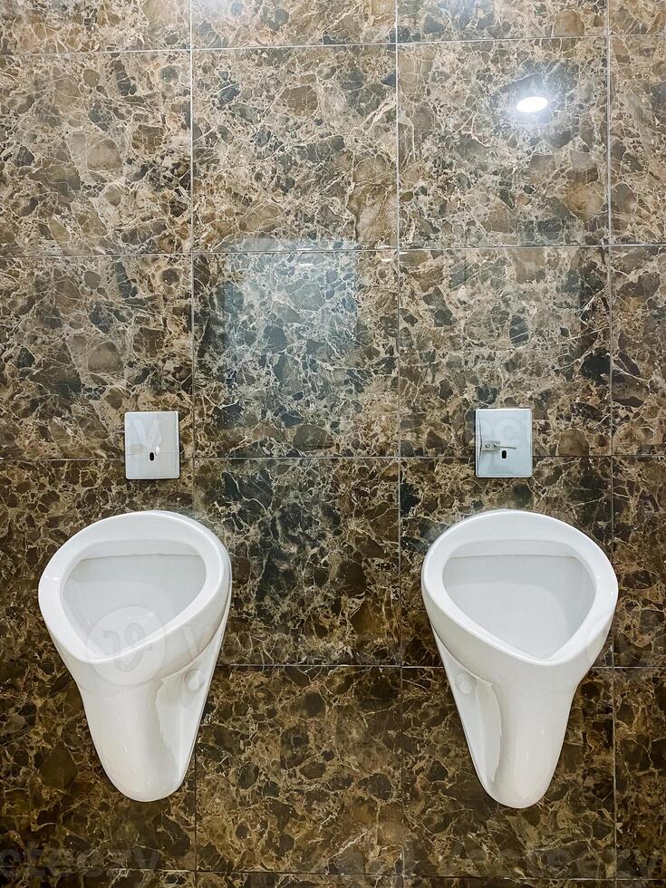 Plumbing fixture in bathroom, urinal is a property of the toilet, with gas plumbing fitting on the wall, font included photo