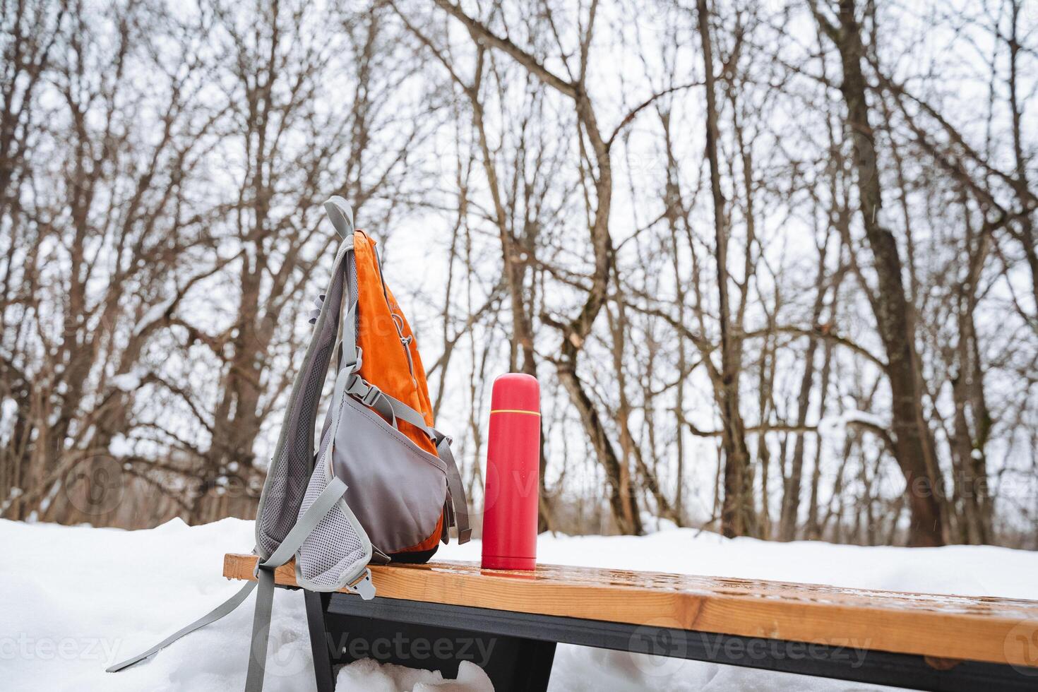 On a chilly winter day, a backpack and an insulated thermos are resting on a bench, surrounded by a blanket of soft, white snow, creating a picturesque and serene winter scene photo