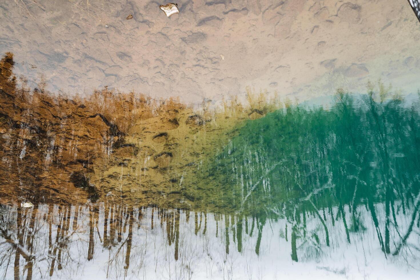 A stunning depiction of trees, their forms elegantly mirrored in a serene body of water, crafts a mesmerizing scene that evokes the true essence of natures artistry and deep tranquility photo