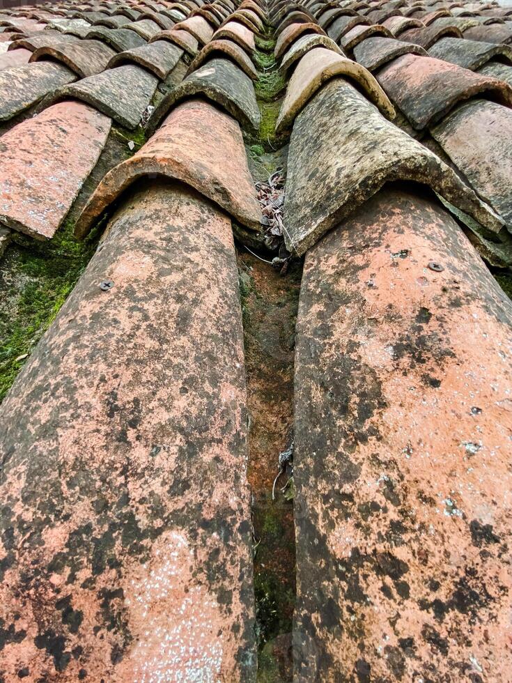 This captivating image features a closeup of intricately crafted brown roof tiles, showcasing their unique textures and patterns that contribute to a delightful rustic charm photo