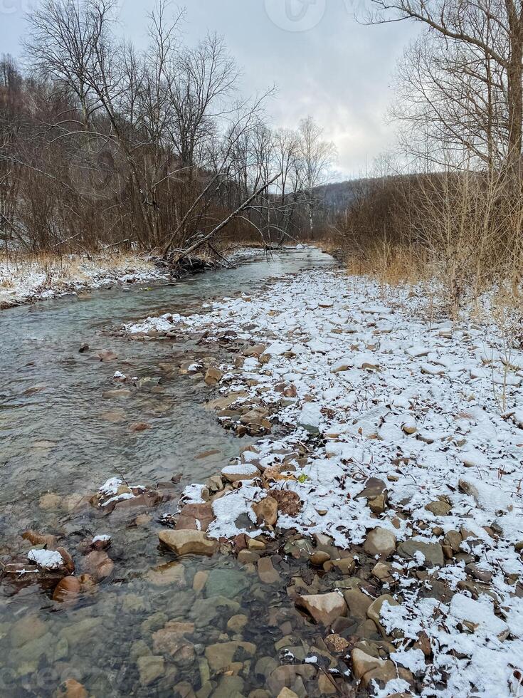 A picturesque river gracefully flows through a tranquil snowy forest, surrounded by tall trees, on a cloudy winter day filled with soft light and the peaceful sounds of nature photo