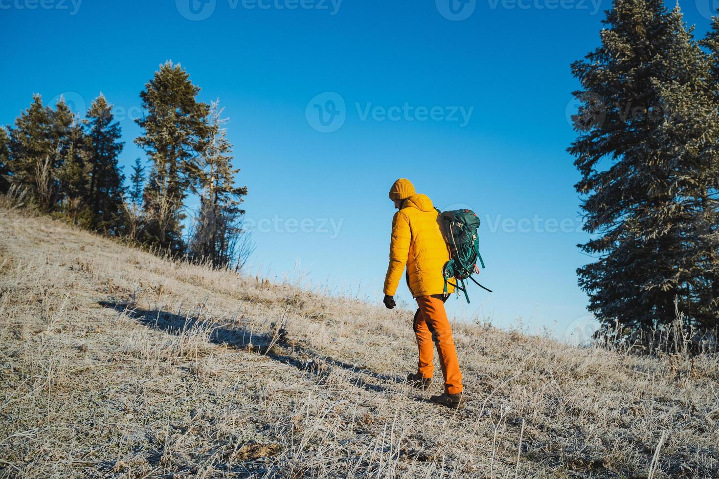Guy with backpack climbing uphill rear view, trekking in the mountains, solo journey in winter forest. Sports equipment for hiking in the mountains. photo