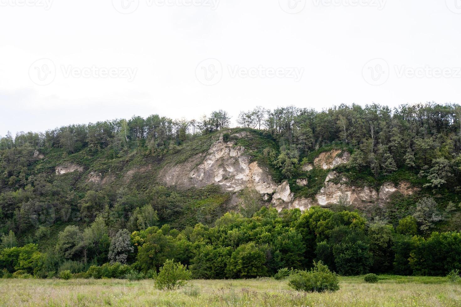 There is a gentle hill adorned with lush green trees standing tall upon it, while in the foreground, a beautiful field stretches out, creating a picturesque rural landscape photo