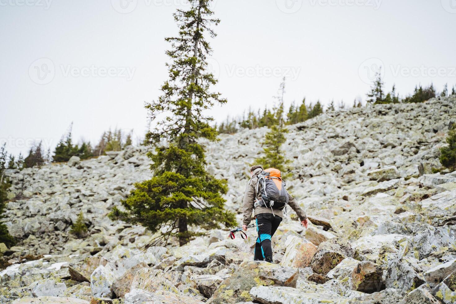 A hiker with a backpack is ascending a steep slope covered with rocky terrain, surrounded by larch trees and evergreen vegetation, admiring the mountain landscape under the blue sky photo