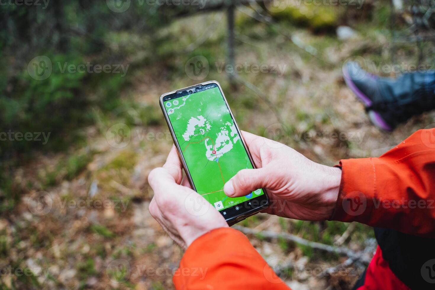 Individual holding a cell phone amidst the forest landscape photo