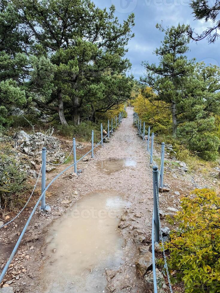 A muddy path that is beautifully framed by lush trees and a sturdy fence, inviting exploration with every step along the way, perfect for adventurers and nature lovers alike photo