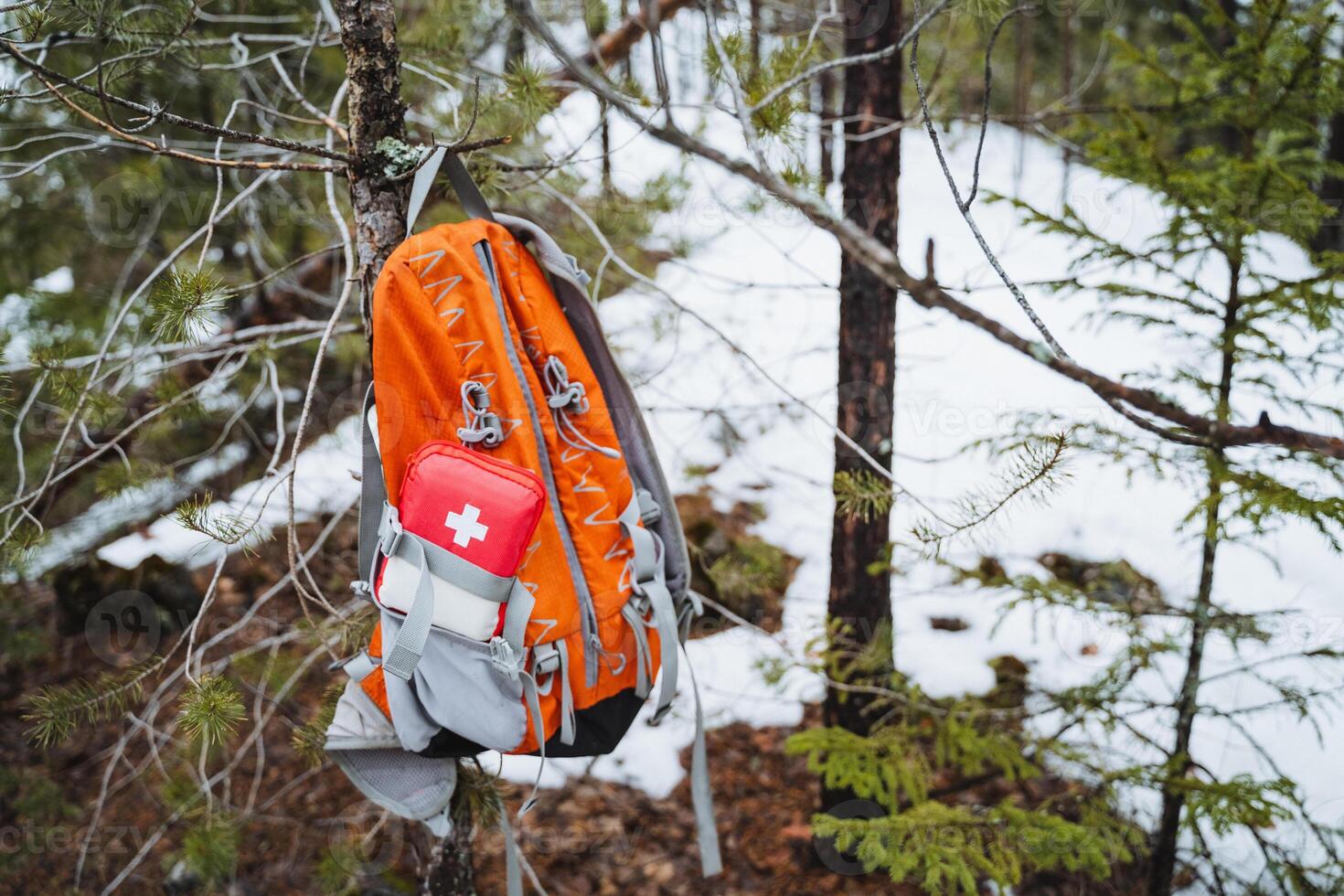 A backpack with a first aid kit hangs from a tree in a natural landscape photo