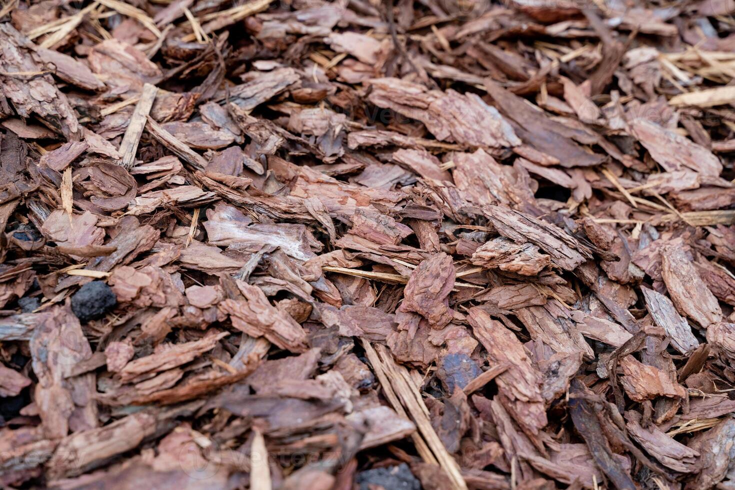 On the ground, there is a significant pile of wood chips resting, gathering in a somewhat haphazard fashion, which might have come from a nearby tree or some branches being cut photo