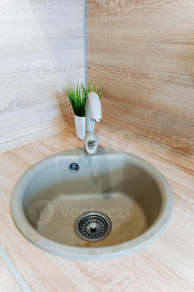 Plumbing fixture with a faucet and a potted plant on the kitchen sink counter photo