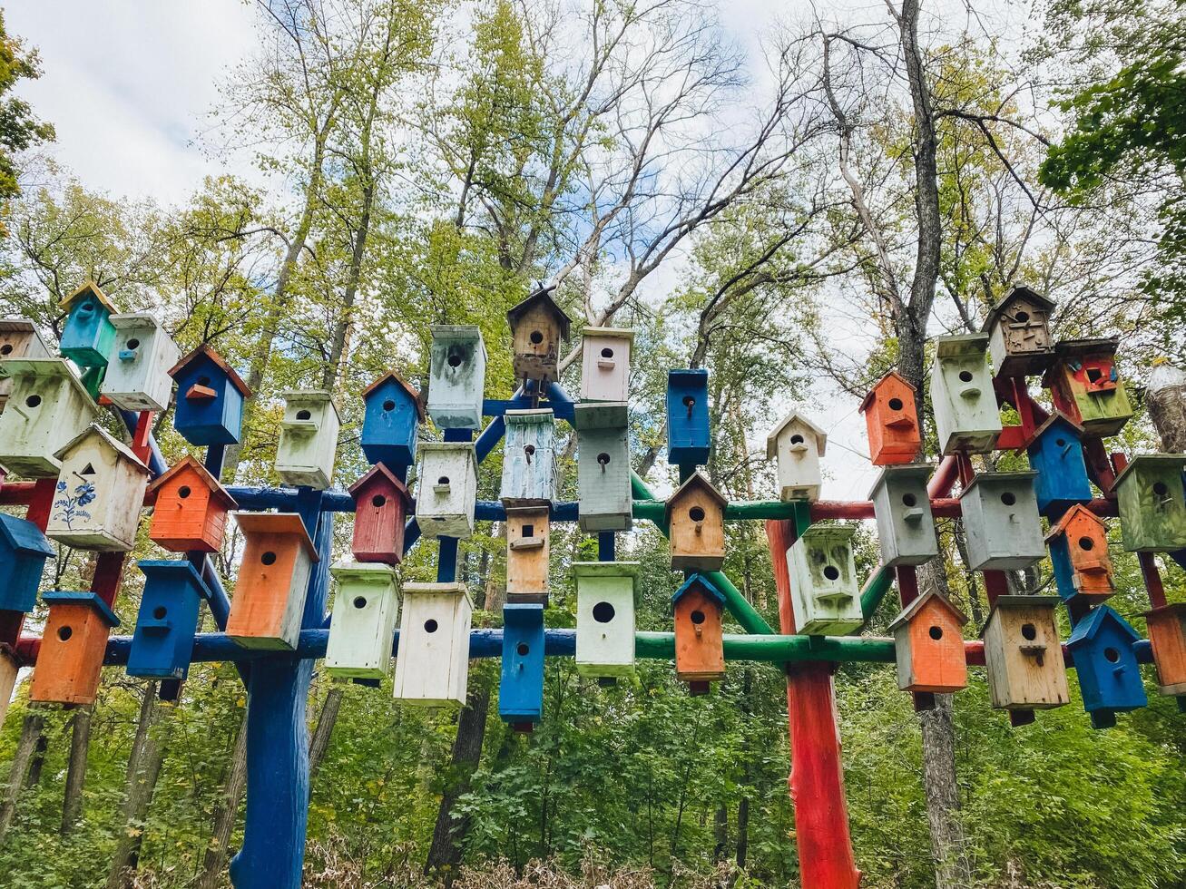 A vibrant collection of uniquely designed and colorful bird houses is hanging beautifully from the branches of the trees, creating a charming and lively atmosphere in the surrounding area photo