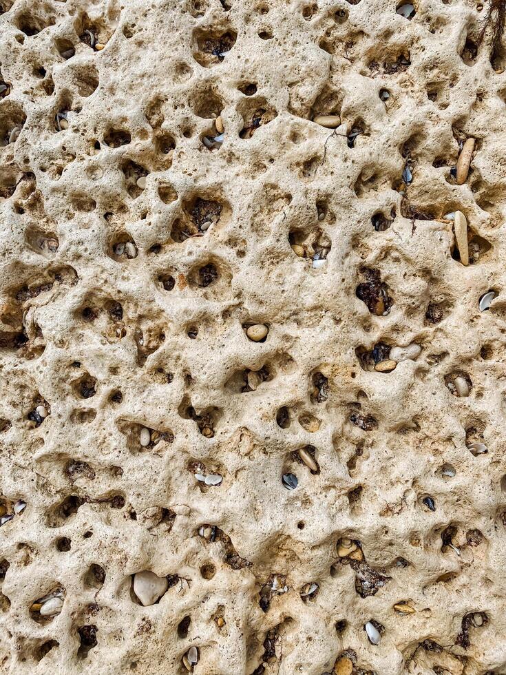 This image shows a closeup of a rock, highlighting its beautiful patterns and holes, showcasing its remarkable texture and unique features as an interesting geological specimen photo
