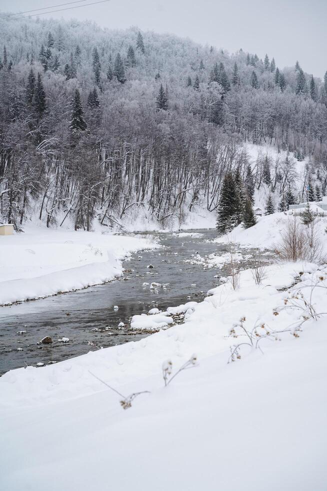 Imagine a beautiful river flowing gracefully through a snowy forest, where the trees are blanketed in a thick layer of soft, white snow, creating a serene winter wonderland atmosphere photo
