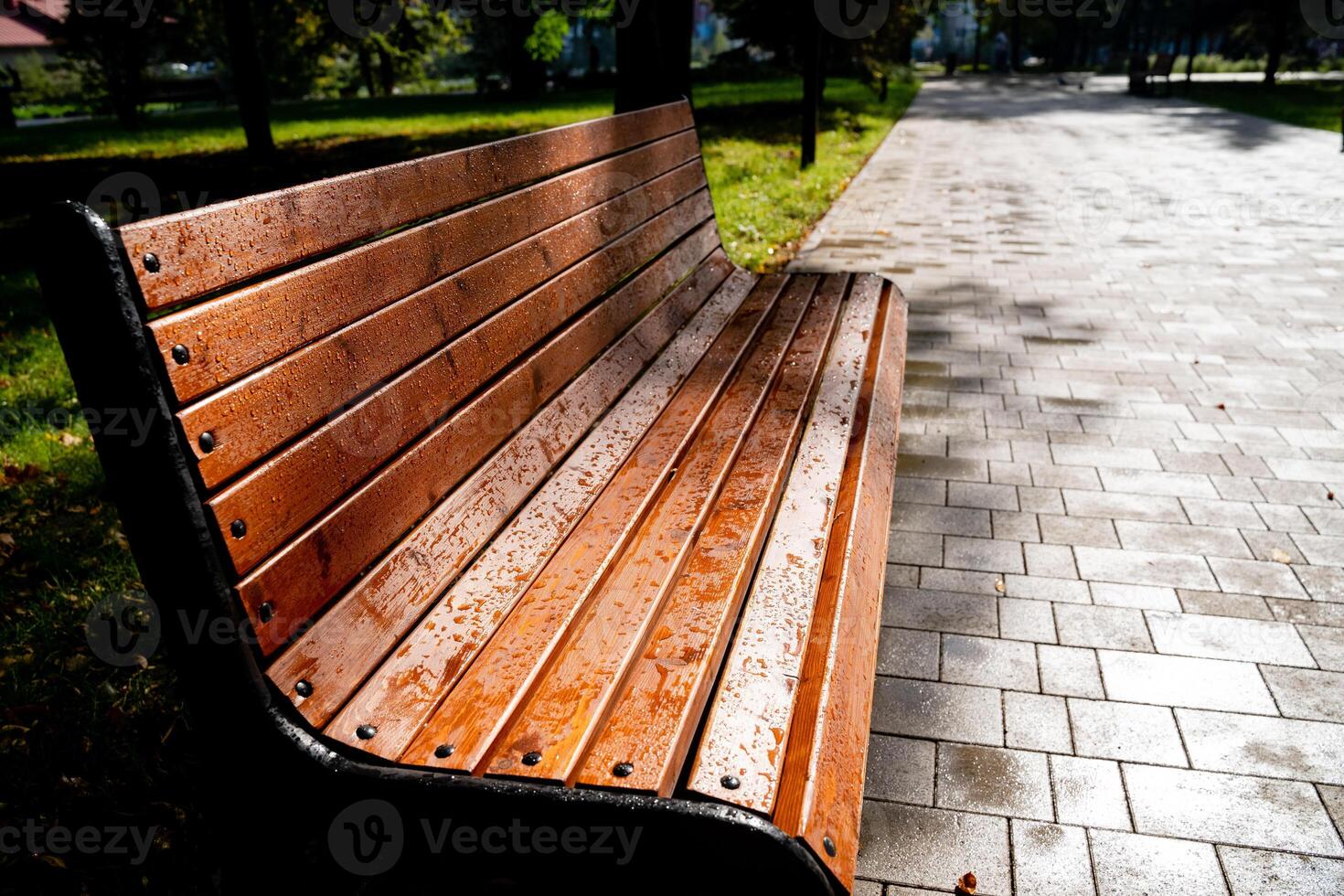 In a lovely park, there is a sturdy wooden bench that is comfortably sitting on a wellmaintained brick sidewalk, inviting visitors to sit and enjoy the natural surroundings photo