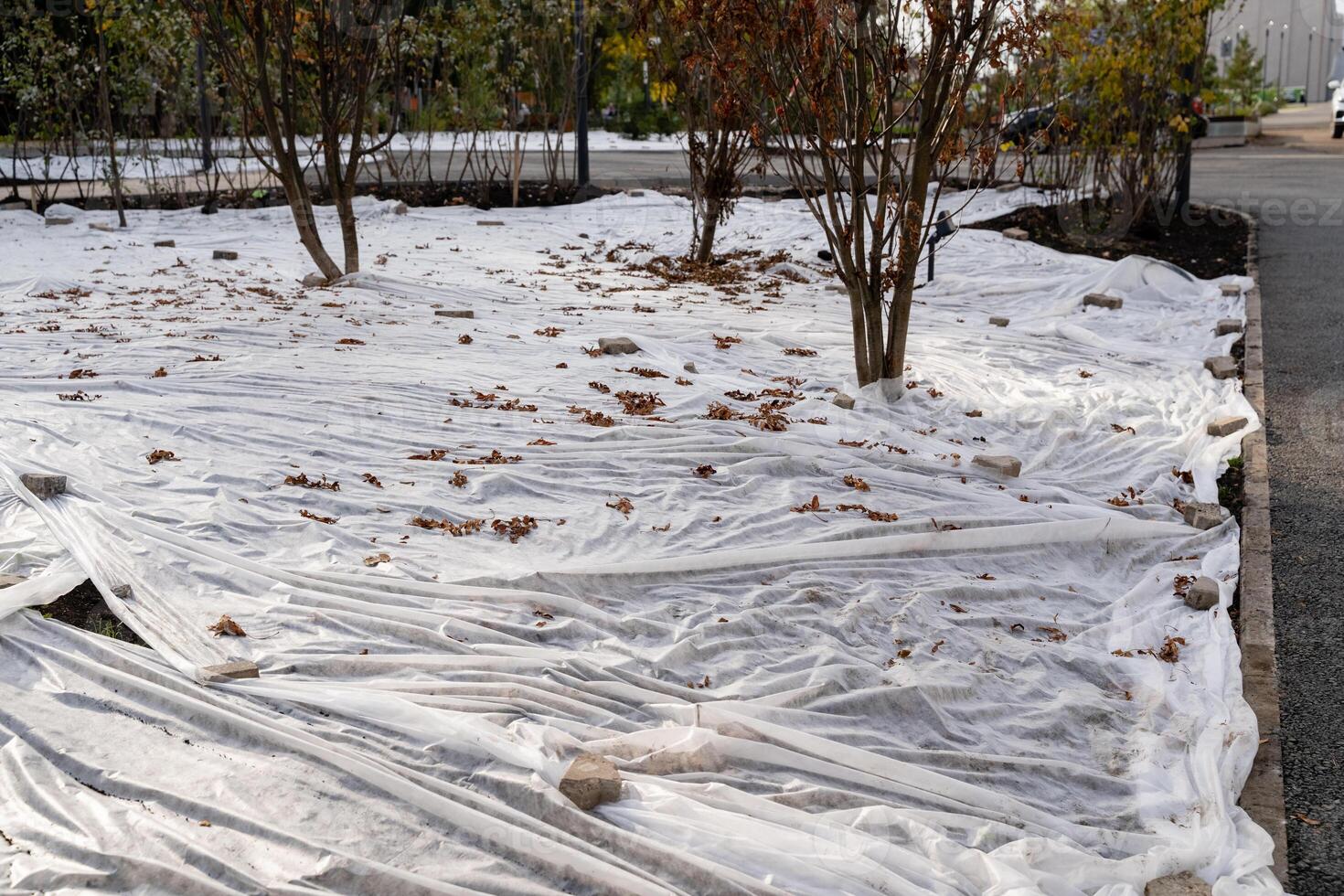 A substantial piece of plastic is lying on the ground in a park, creating a striking and unusual sight amid the standard natural beauty presented by the trees and grass in the area photo