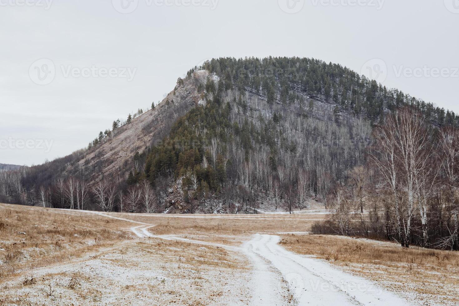 A beautiful and serene winter landscape features a snowcovered hill with a winding pathway, inviting exploration and tranquil moments in nature photo