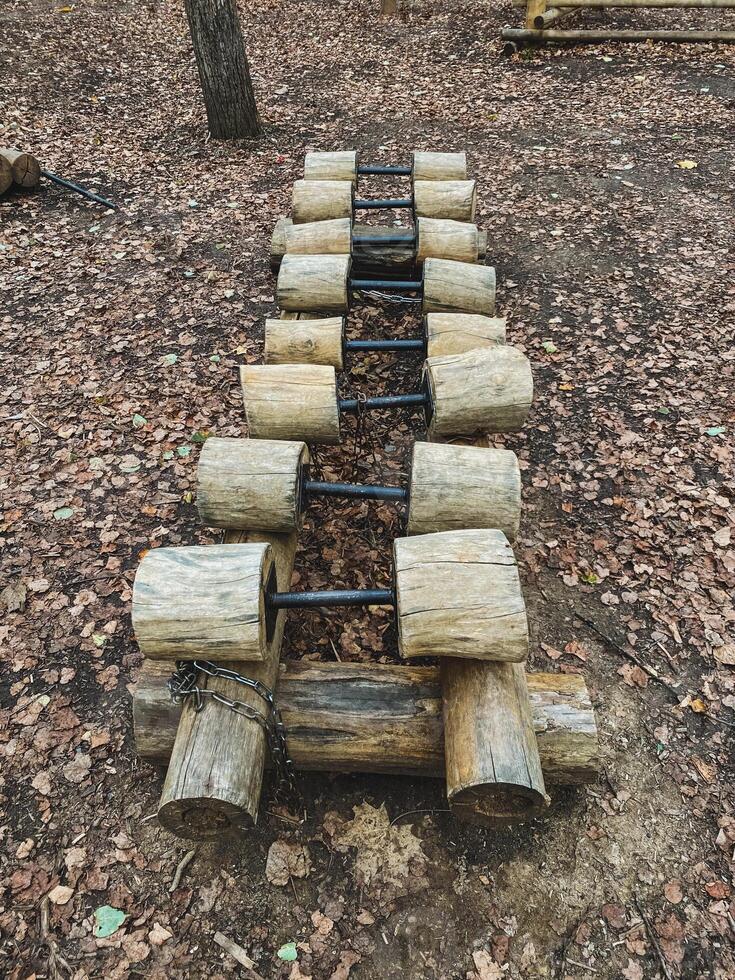 In the serene woods, a rustic wooden ladder constructed from sturdy logs can be found, perfectly blending with the natural surroundings and offering a glimpse into the tranquility of nature photo