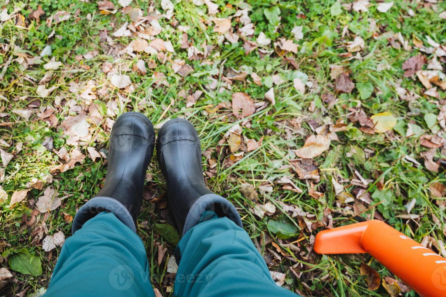 A person is standing in the grass while wearing a pair of black rubber boots, enjoying the outdoors amidst the lush green environment filled with various terrestrial plants photo