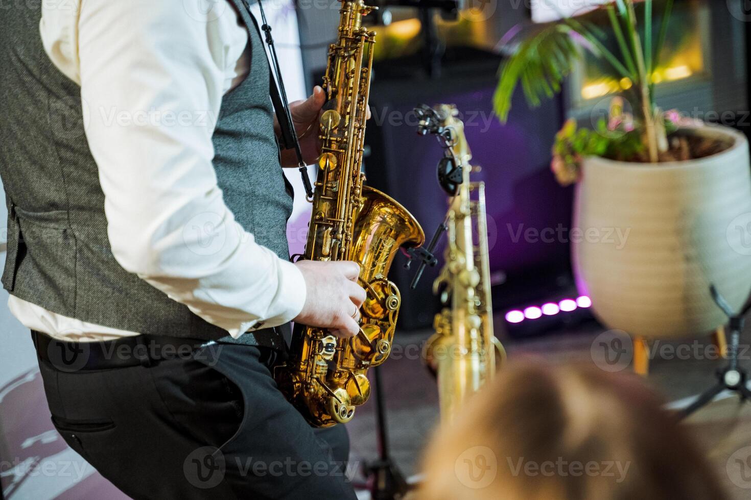 A musician plays saxophone in room with houseplant photo
