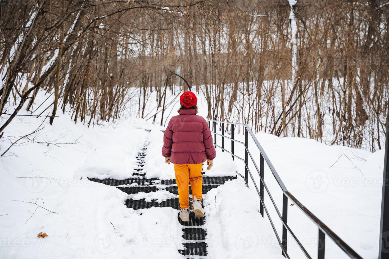 The serene winter scene depicts a person walking along a snowy path that is surrounded by tall trees, creating a peaceful atmosphere as snowflakes gently fall around them photo