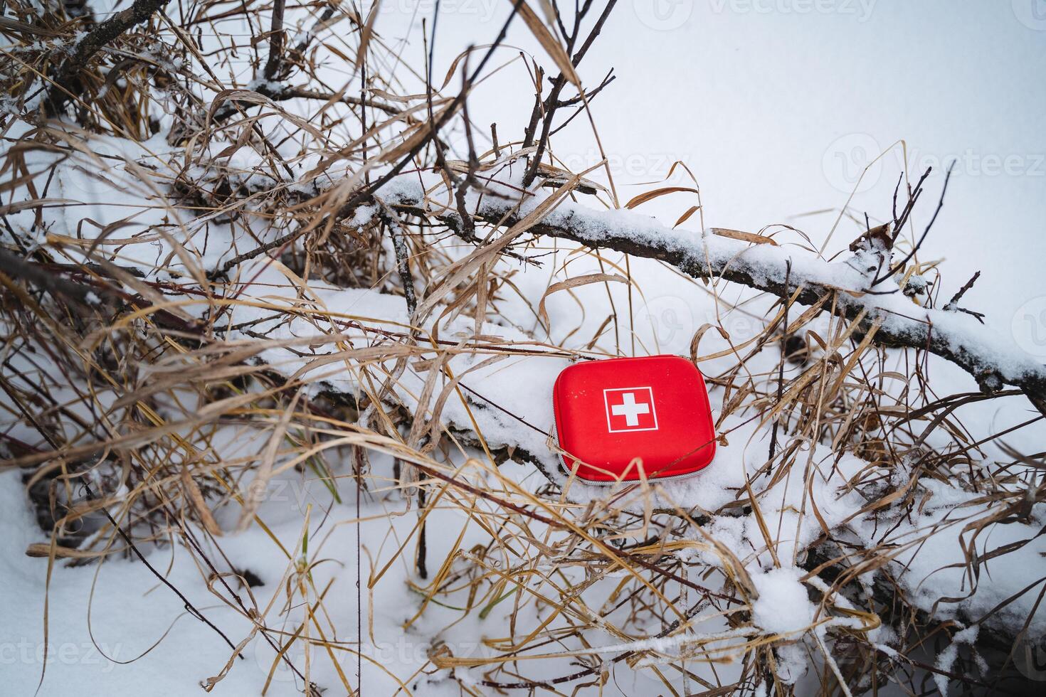 A bright red first aid kit can be seen resting on a snowcovered tree branch, creating a striking contrast against the pure white snow all around in the cold winter breeze photo