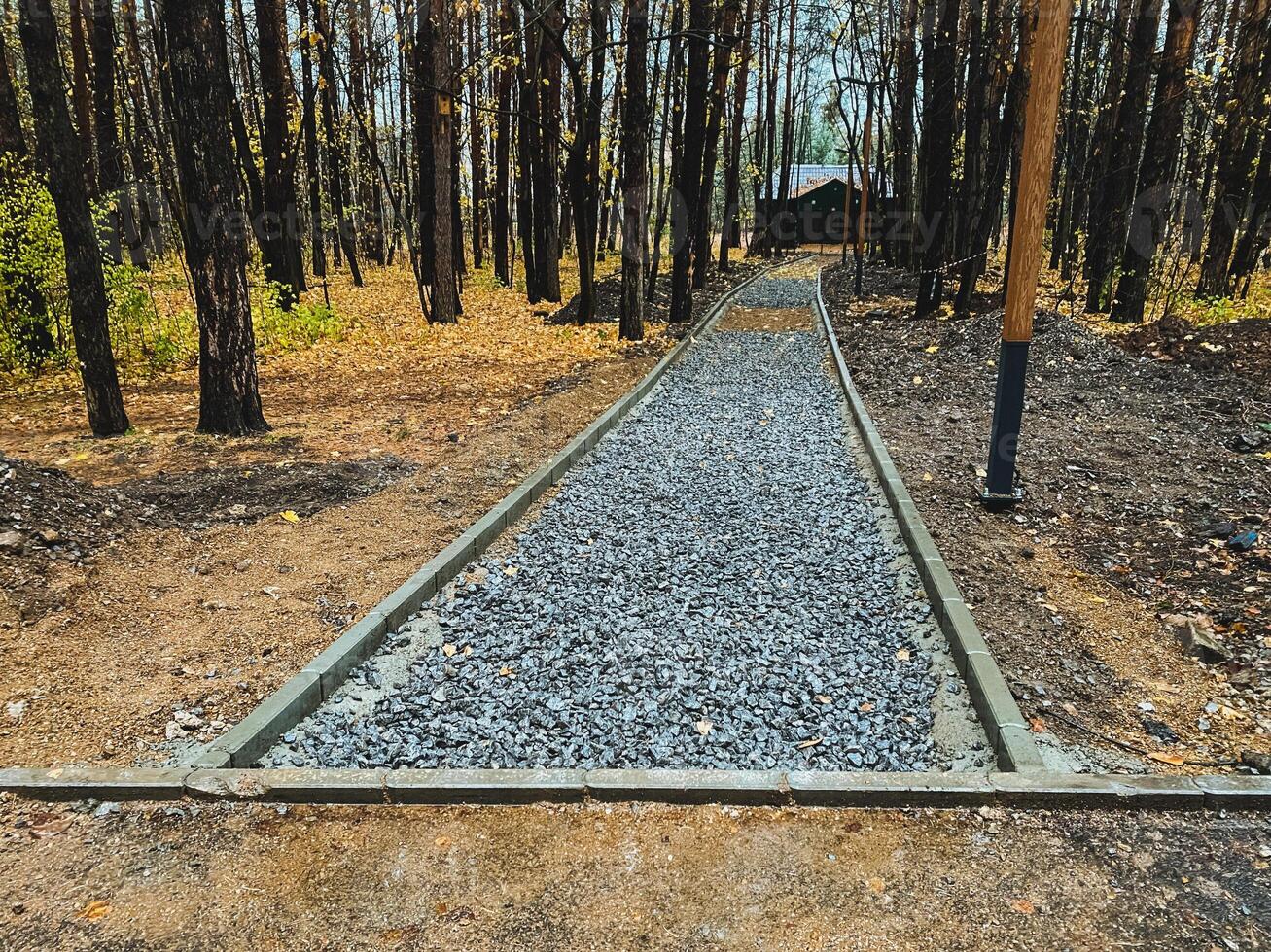 In the heart of a dense and serene forest, there lies a charming gravel path that invites exploration and peaceful walks through the beautiful natural landscape surrounding it photo