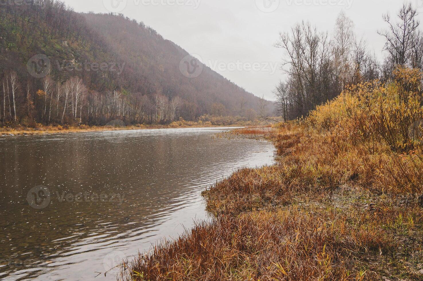 River flowing through mountains and trees under a cloudy sky photo