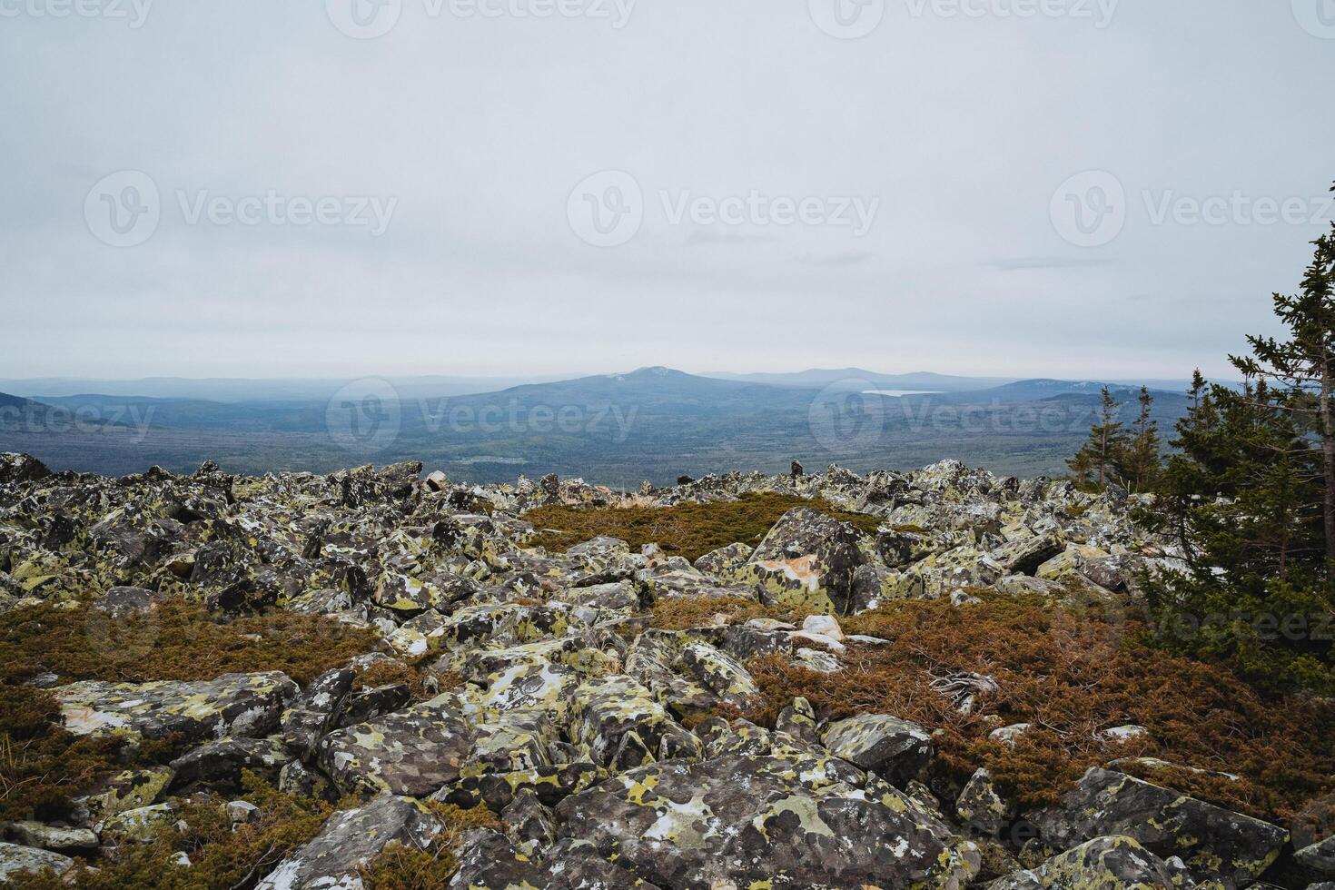 Trees on hillside with mountains in the background, under a cloudy sky photo