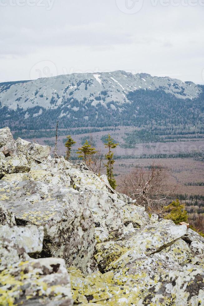 Spectacular view of mountain range from rocky cliff with trees in foreground photo
