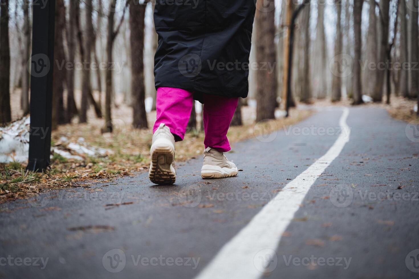 A person is strolling on a path through the forest photo