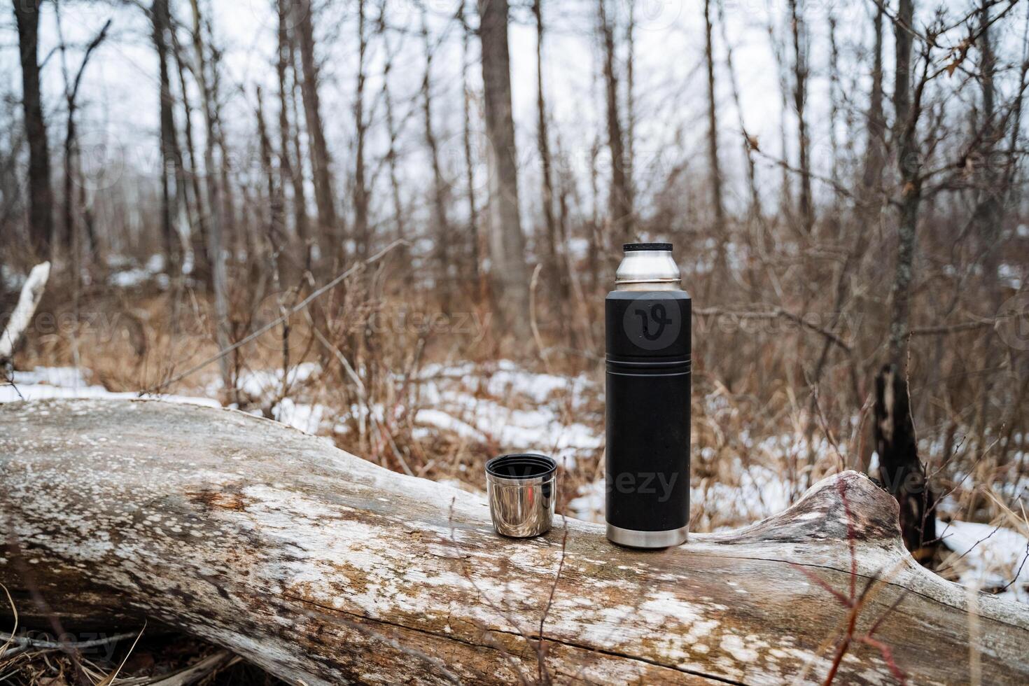 On a beautifully sunny day in the tranquil woods, a thermos and cup are placed on a log, surrounded by lively nature, creating an ideal scene for delightful relaxation and deep reflection photo