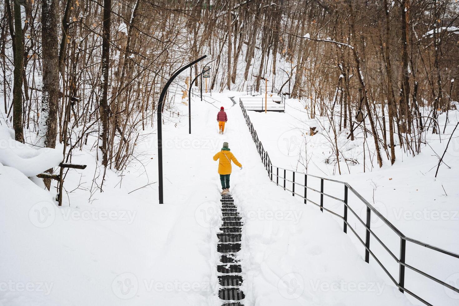 A couple strolls hand in hand along a snowy path, surrounded by majestic tall trees, savoring the crisp winter air and the serene beauty that this tranquil day has to offer photo