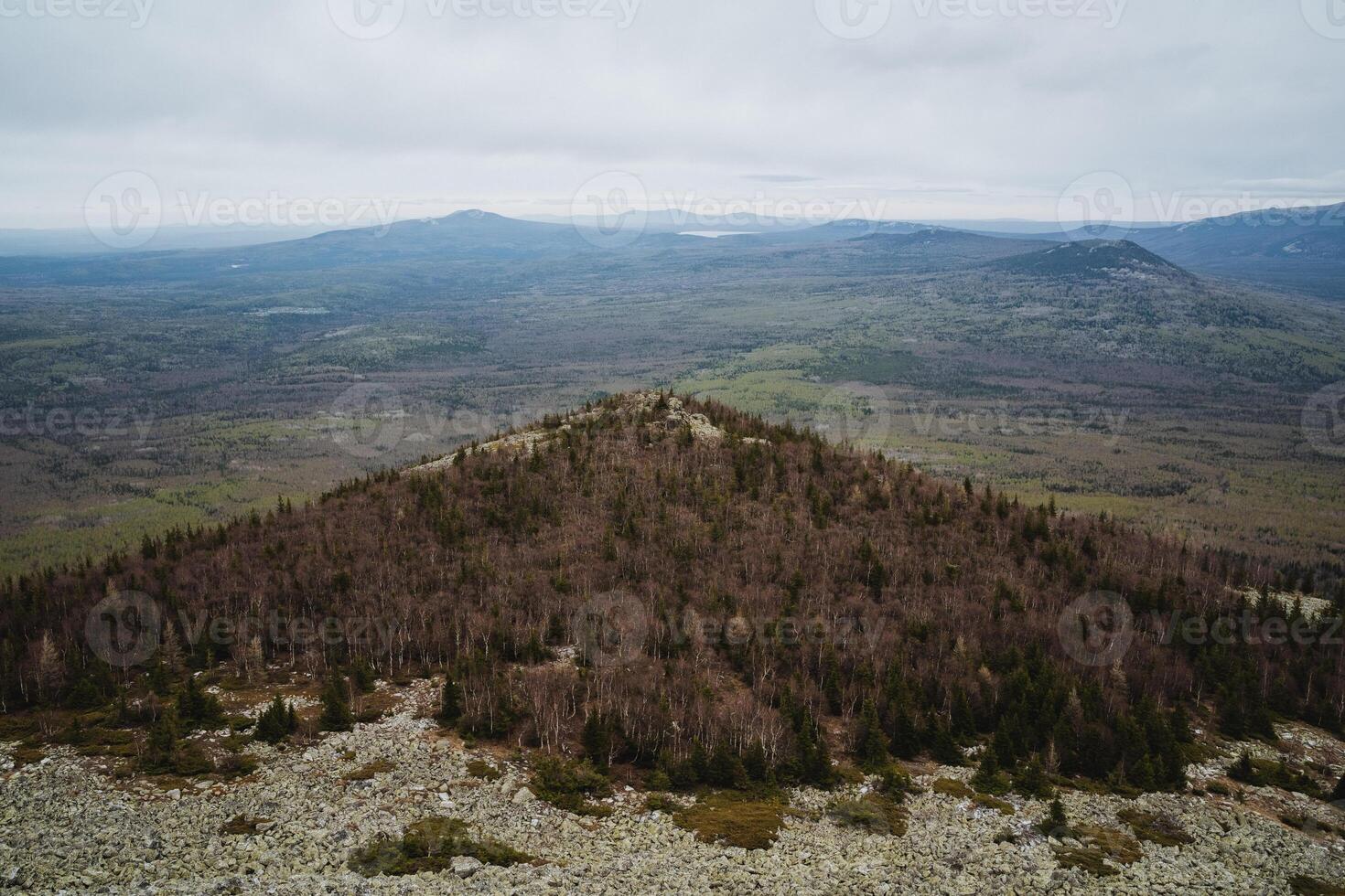 a view of a mountain covered in trees from the top of a mountain photo