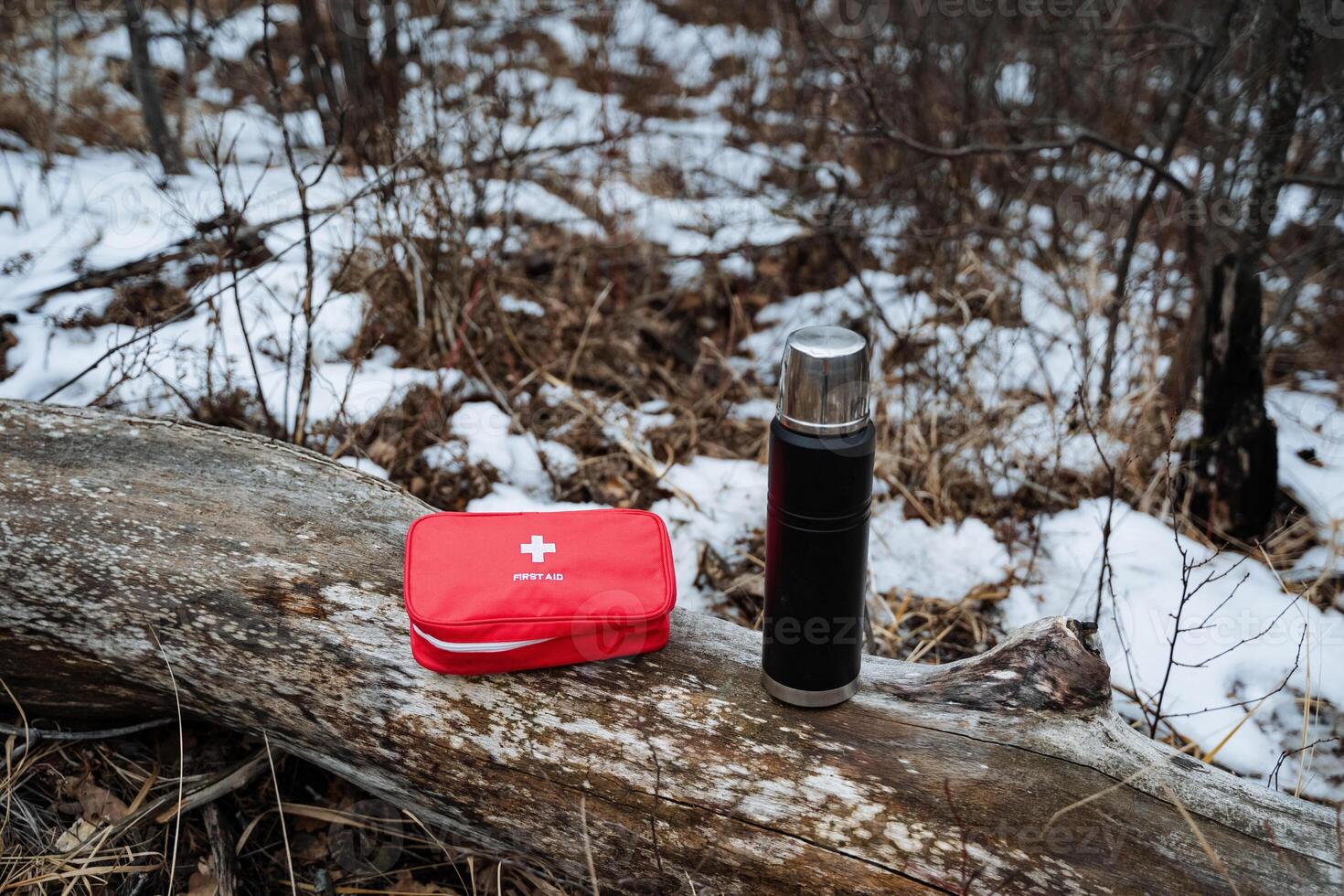 A first aid kit and a thermos are both resting on a log that is covered in white snow, creating a picturesque winter scene filled with various natural elements surrounding them photo