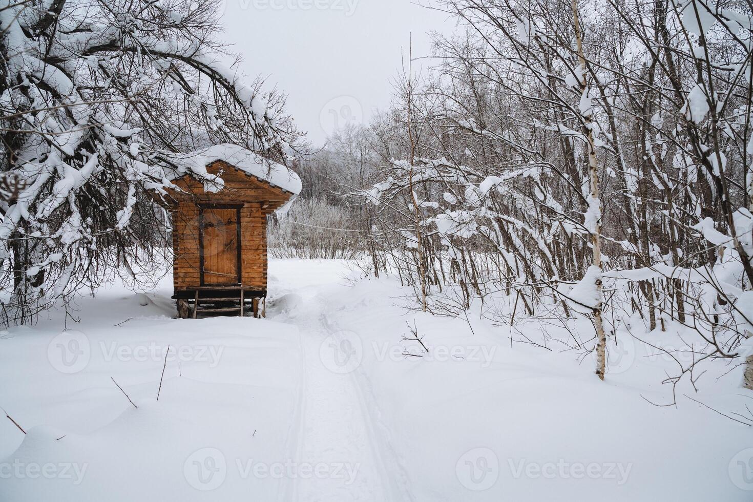 In the heart of a snowy forest, there is a small wooden shed standing quietly, surrounded by tall trees blanketed in snow. This picturesque scene captures the essence of winter beautifully photo