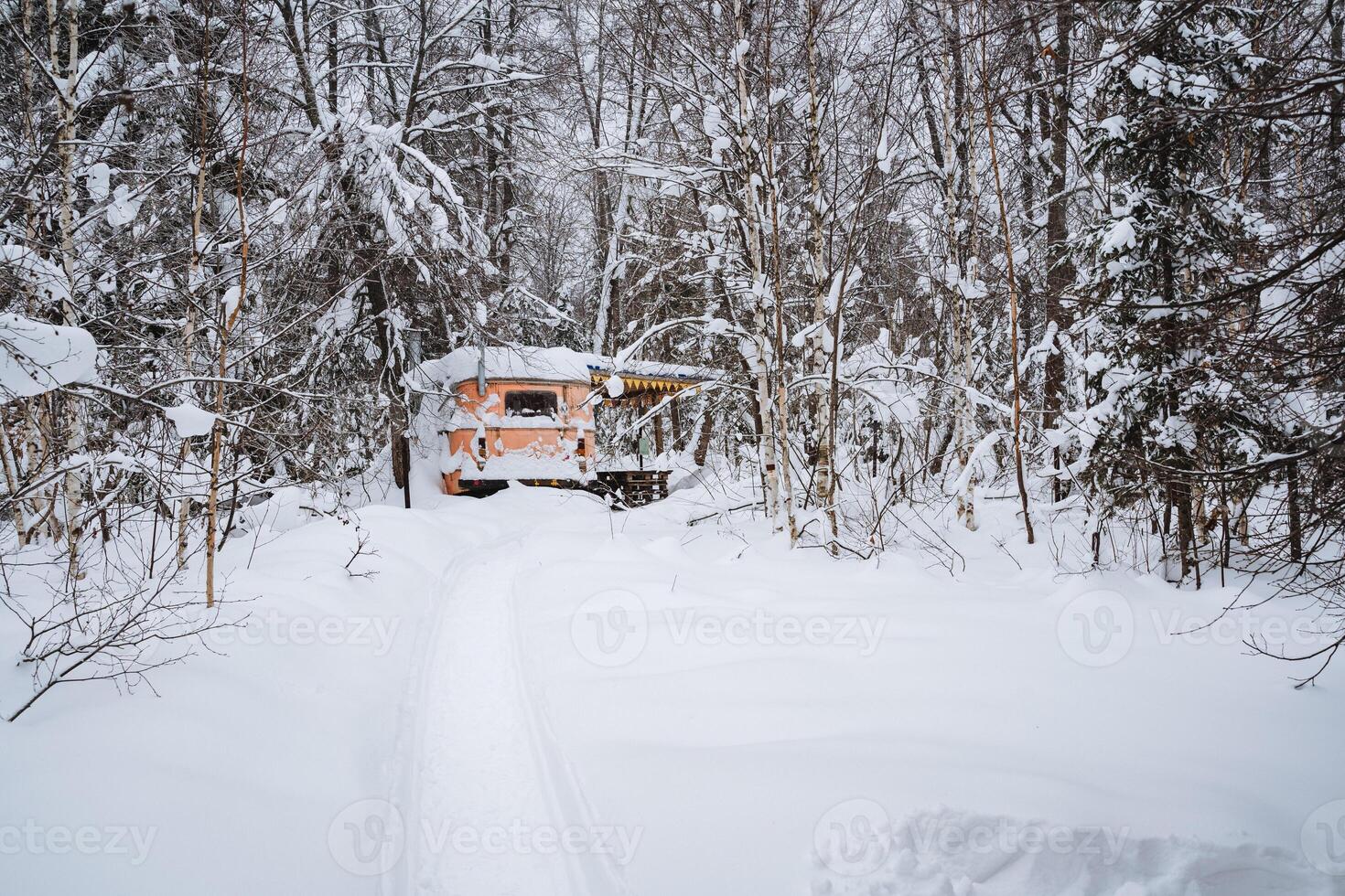 A lone camper is parked on a snowcovered road that winds its way through peaceful woods, completely surrounded by tall trees that are blanketed in a pristine layer of white snow photo