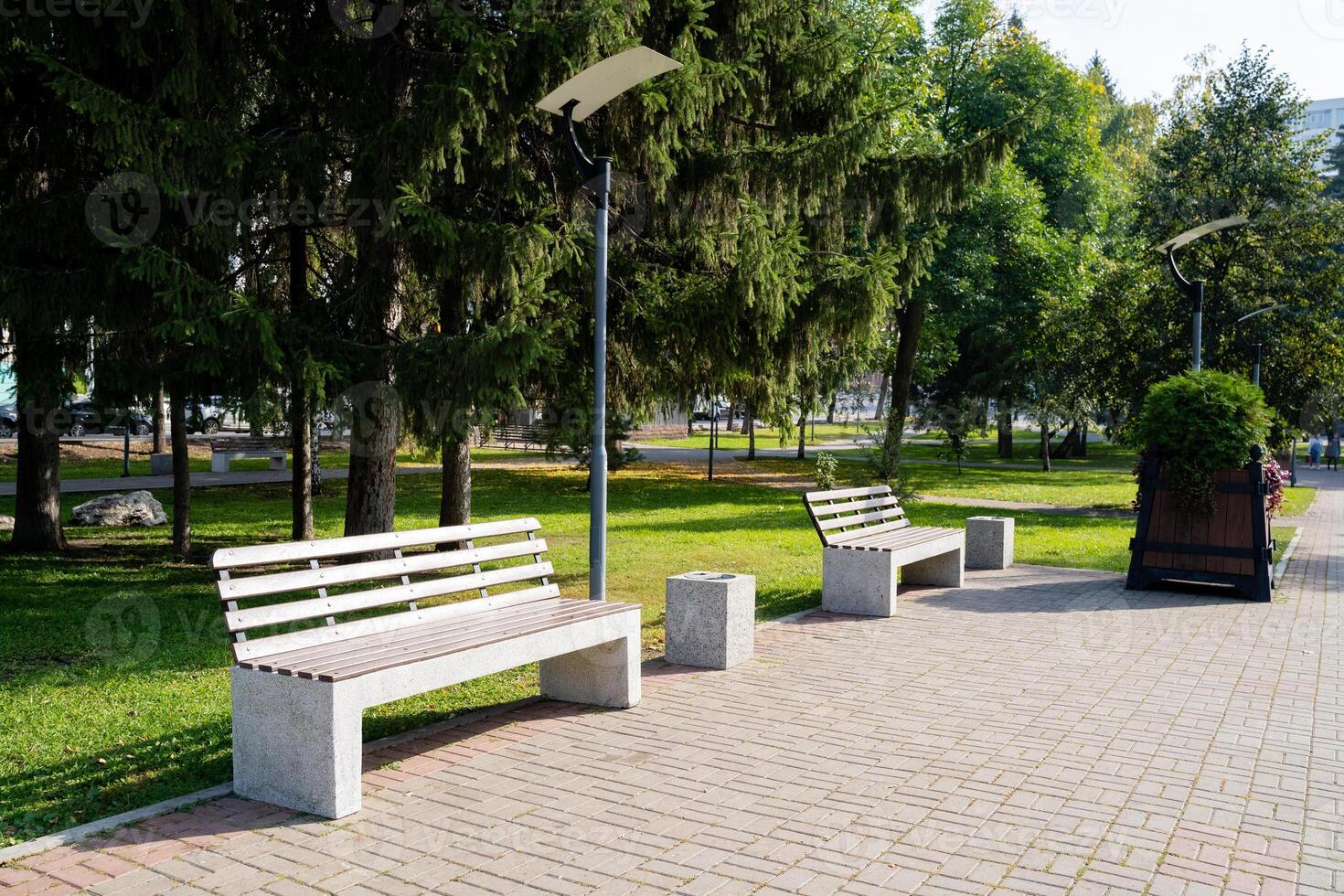 In a serene park setting, there is a row of benches positioned neatly, surrounded by lush trees that create a beautiful backdrop for visitors looking to relax and enjoy nature photo