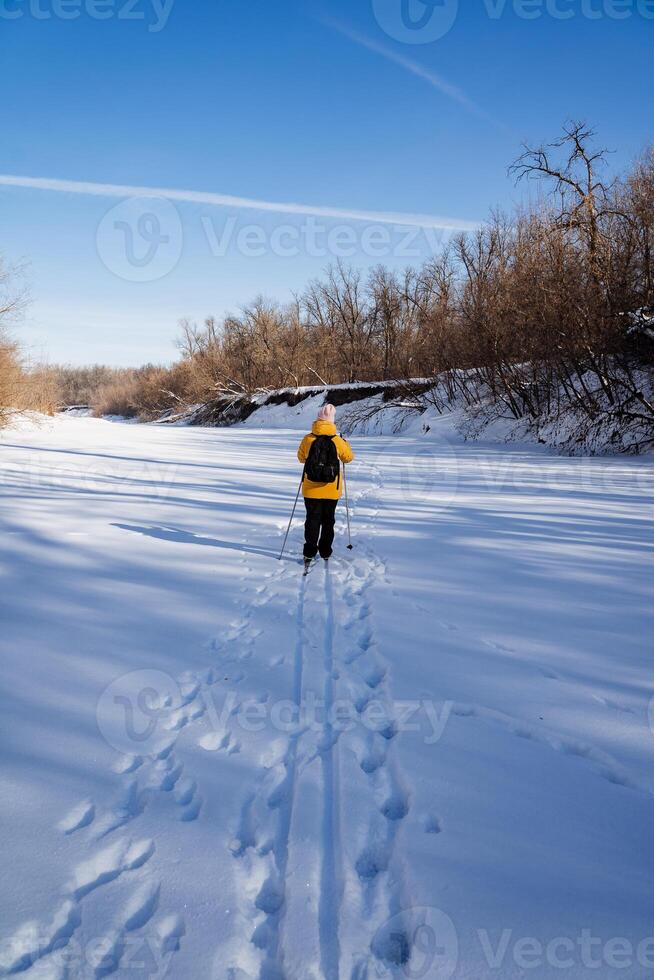 Cross country skiing on a snowy slope under an electric blue sky photo