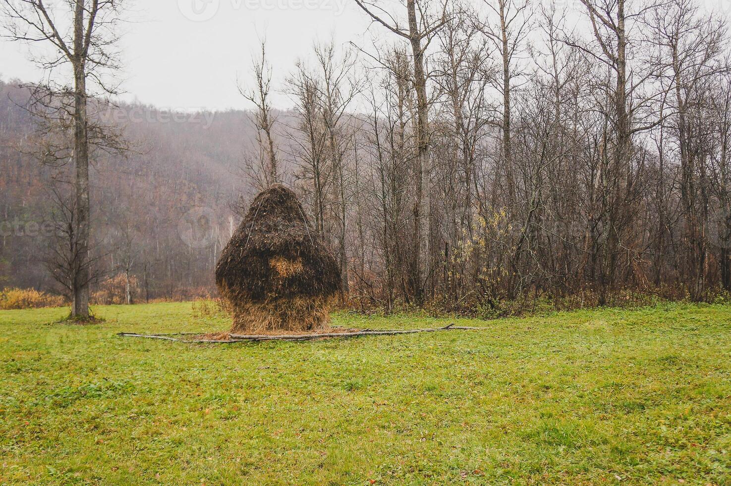A heap of hay amidst a grassy field under the open sky photo